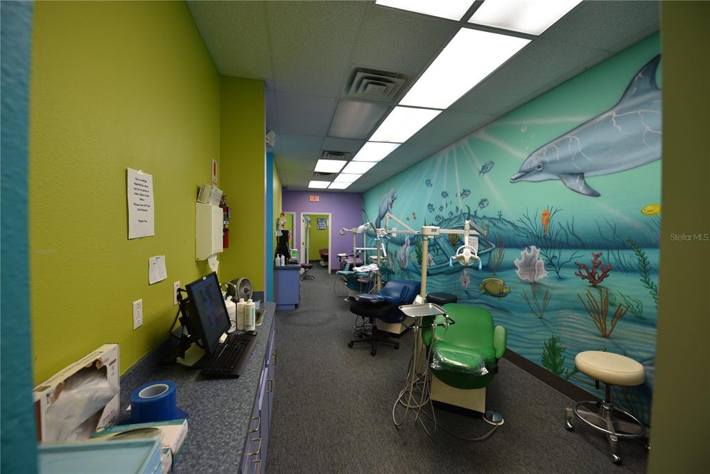 A pediatric dental office features a green wall, a dolphin mural, and two patient chairs — 5124 US HIGHWAY 19 UNIT 5120, NEW PORT RICHEY, FL