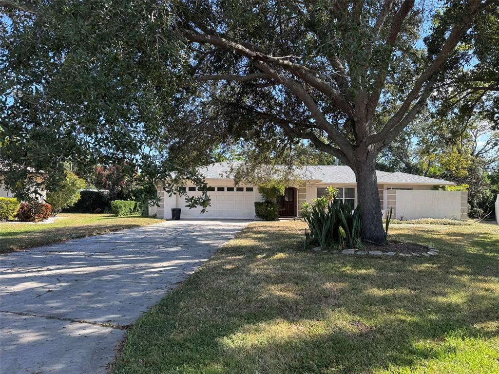 145 MIMOSA DRIVE
