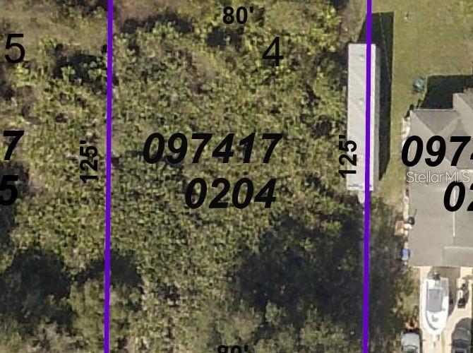 This is an aerial map view of a rectangular residential lot measuring 80 by 125 feet — BESSEMER AVENUE, NORTH PORT, FL