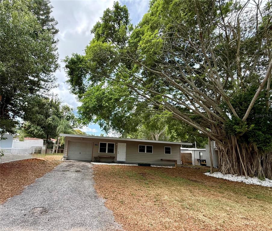 A single-story house with gray siding, a gravel driveway, and a large tree in front — 1609 SCOTT STREET, CLEARWATER, FL