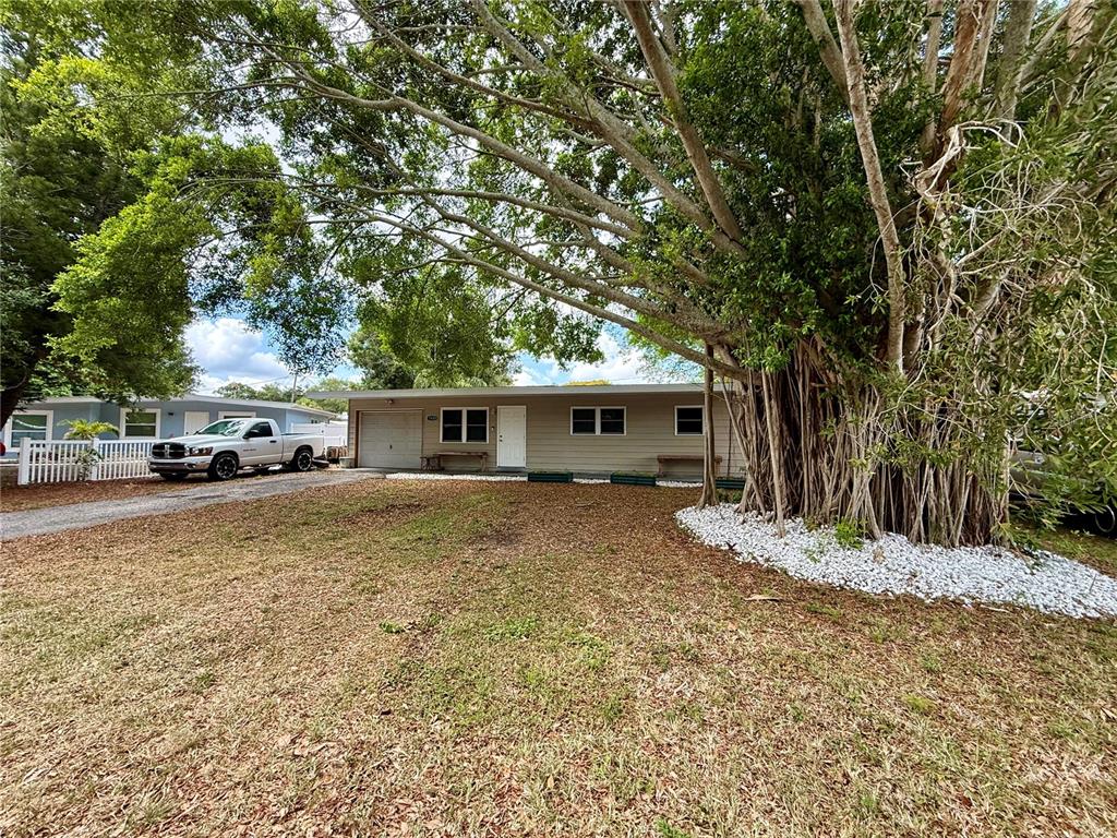 A single-story house with a large banyan tree in the front yard — 1609 SCOTT STREET, CLEARWATER, FL
