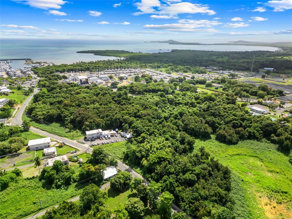 An aerial view shows a lush, forested landscape near a marina and the ocean — Carr. 982 Km 0.3 BO. DEMAJAGUA, FAJARDO, PR