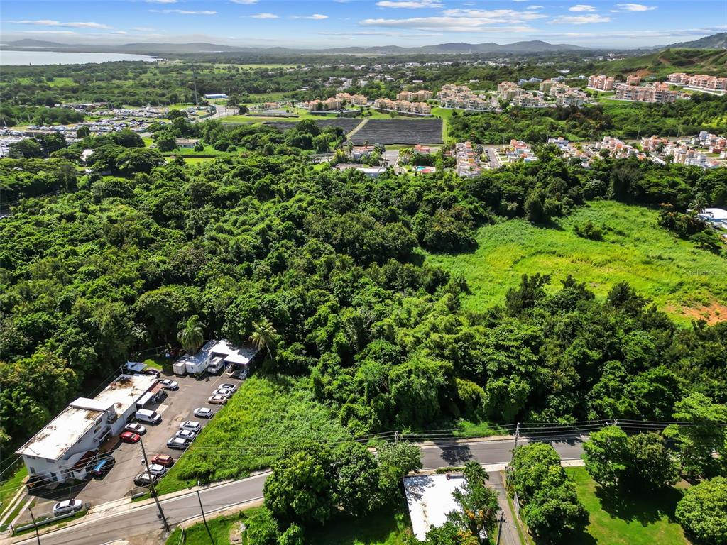 An aerial view shows a wooded lot adjacent to a building with a parking area — Carr. 982 Km 0.3 BO. DEMAJAGUA, FAJARDO, PR