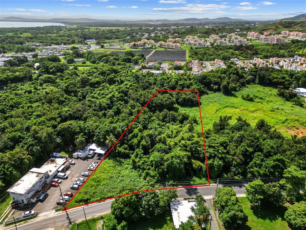 An aerial view shows a vacant, tree-covered lot outlined in red next to a building — Carr. 982 Km 0.3 BO. DEMAJAGUA, FAJARDO, PR