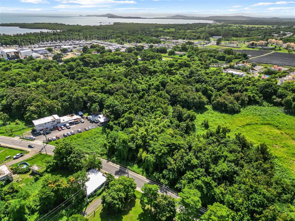 An aerial view shows a dense forest area adjacent to a road and a marina — Carr. 982 Km 0.3 BO. DEMAJAGUA, FAJARDO, PR