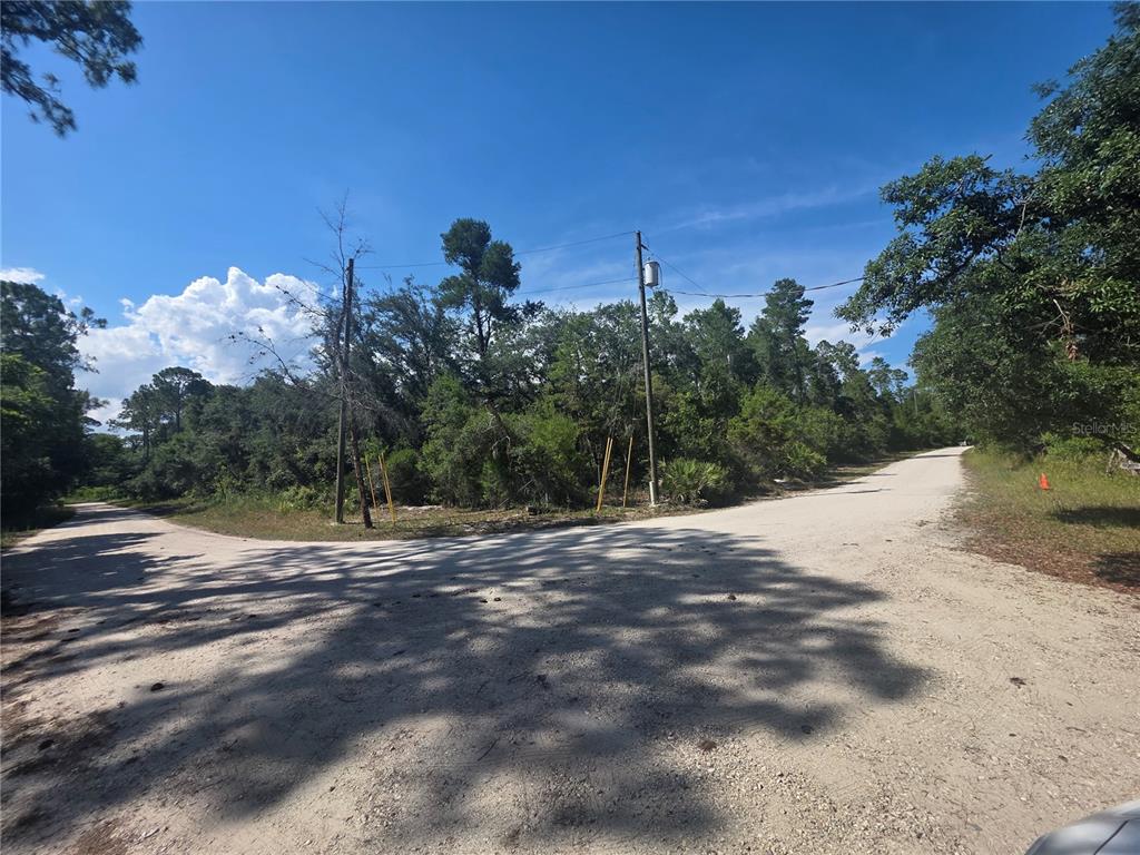 A dirt road forks through a wooded area under a clear blue sky — 0 SWEETWATER TRAIL Lot 145, KISSIMMEE, FL