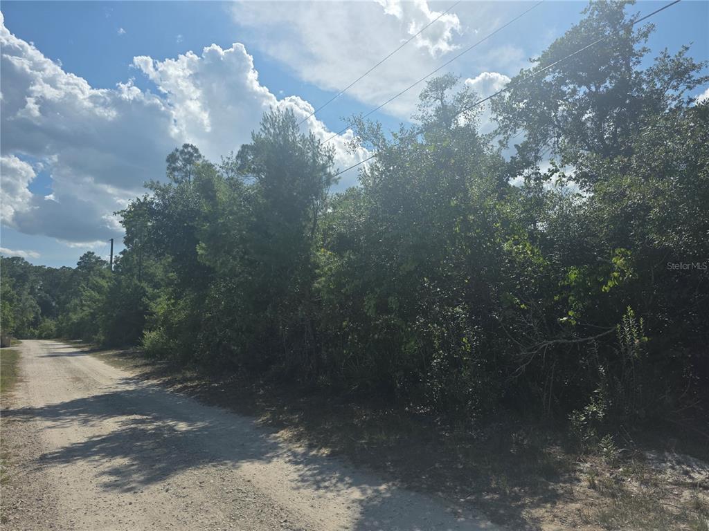 A dirt road runs alongside a dense, wooded lot under a partly cloudy sky — 0 SWEETWATER TRAIL Lot 145, KISSIMMEE, FL