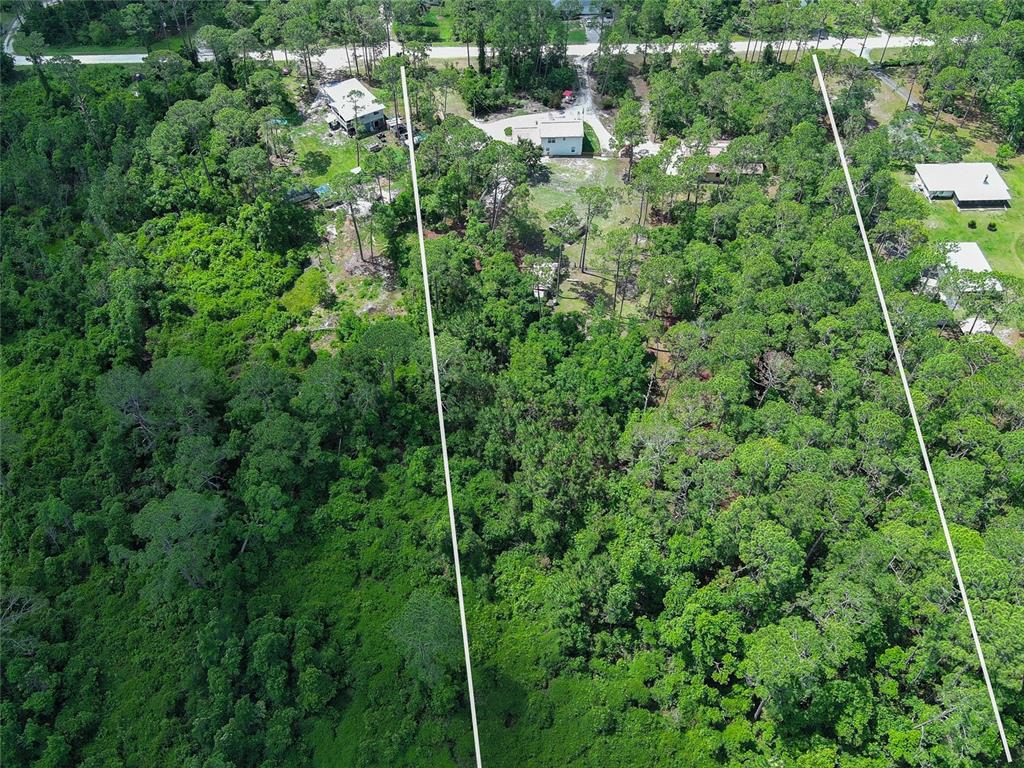 An aerial view shows a wooded lot with white boundary lines and nearby residential houses — 4135 QUAIL RANCH ROAD, NEW SMYRNA BEACH, FL