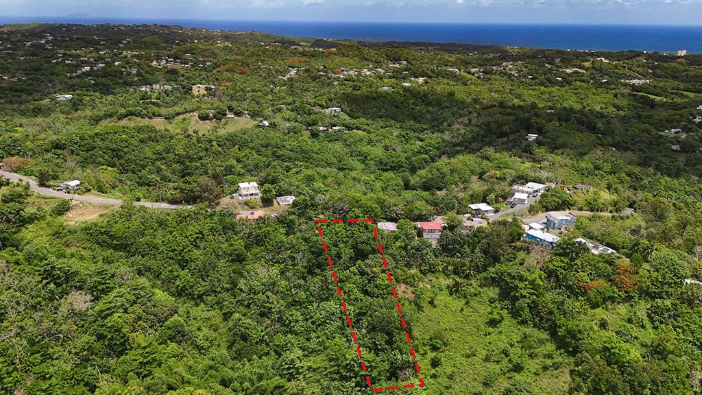 An aerial view shows a rectangular plot of land outlined in red amidst lush greenery — SECRET SPOT CARR 4414, AGUADA, PR