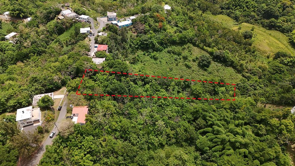 An aerial view shows a rectangular plot of land outlined in red amidst dense vegetation — SECRET SPOT CARR 4414, AGUADA, PR