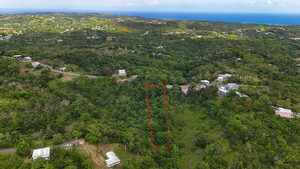 An aerial view shows a rectangular plot of land outlined in red amidst lush vegetation — SECRET SPOT CARR 4414, AGUADA, PR