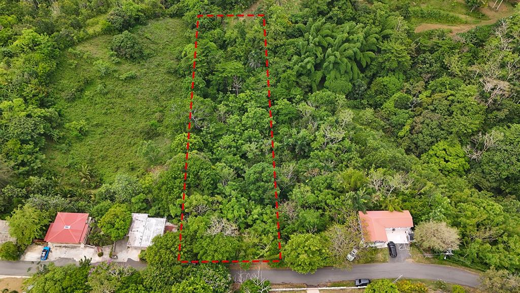An aerial view shows a rectangular plot of land outlined in red amidst dense vegetation — SECRET SPOT CARR 4414, AGUADA, PR