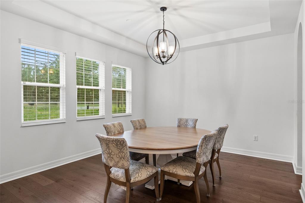 A dining room with a round wooden table, patterned chairs, and a spherical chandelier — 2608 MEADOW GRANGE LANE, LUTZ, FL