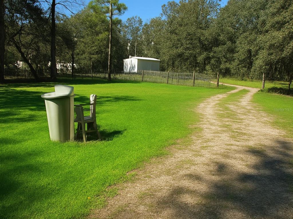 A dirt driveway leads through a grassy yard toward a white shed and wooded area — 14640 NE 149TH LANE, FORT MC COY, FL