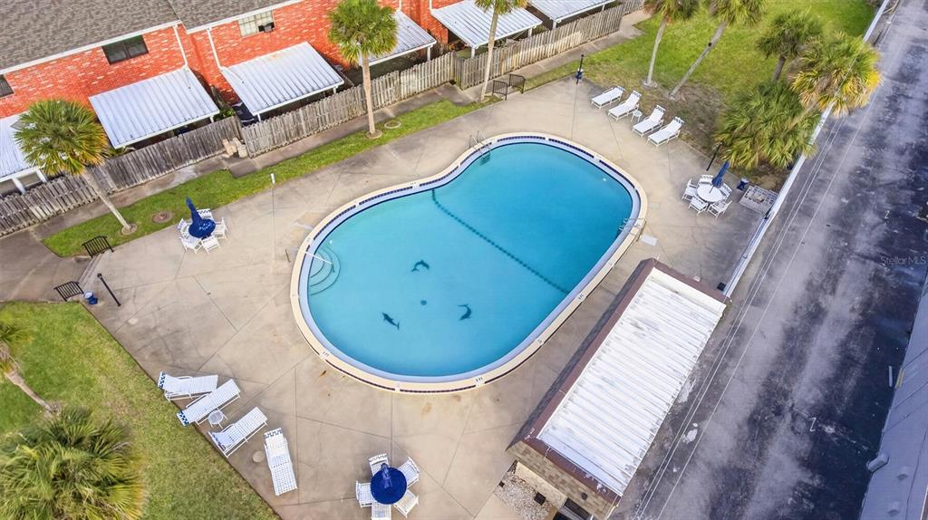 An aerial view shows a community swimming pool surrounded by lounge chairs and palm trees — 2250 S PALMETTO AVENUE UNIT J-5, SOUTH DAYTONA, FL