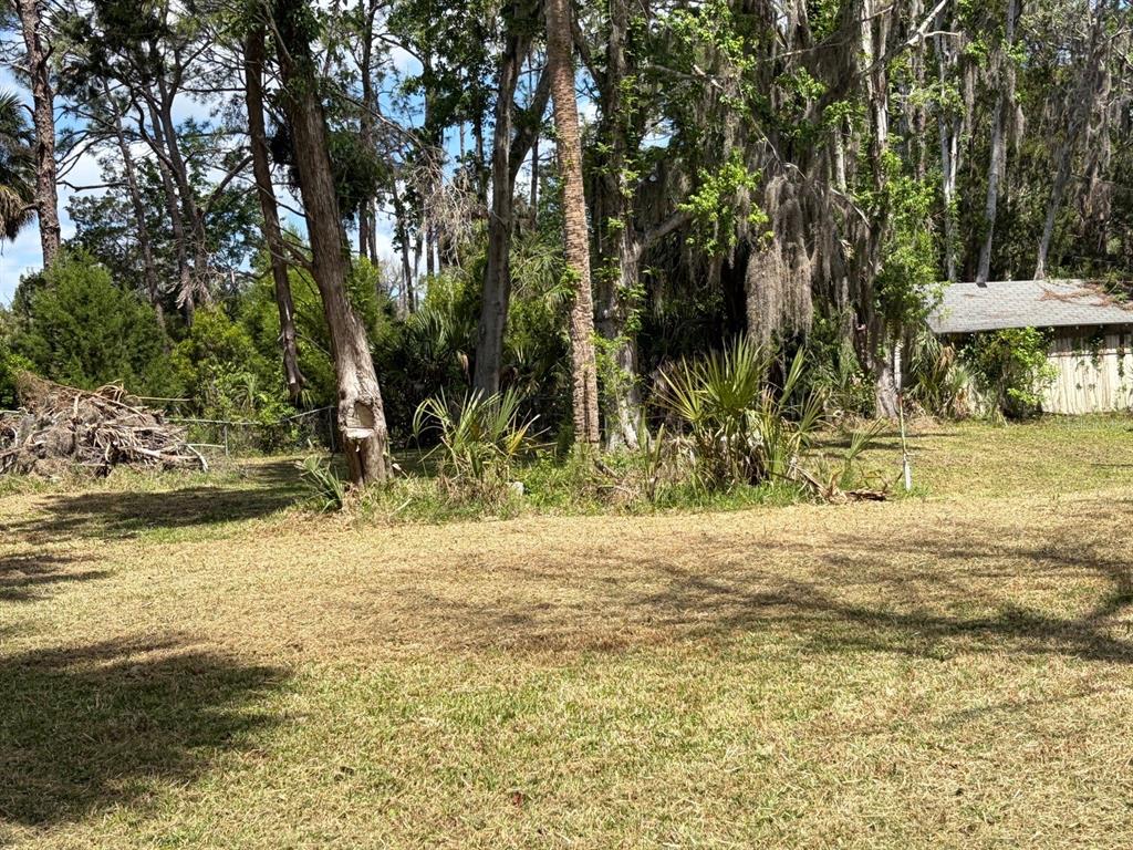 A grassy yard features a large pile of brush, several trees, and a small shed — 38 65TH STREET, YANKEETOWN, FL