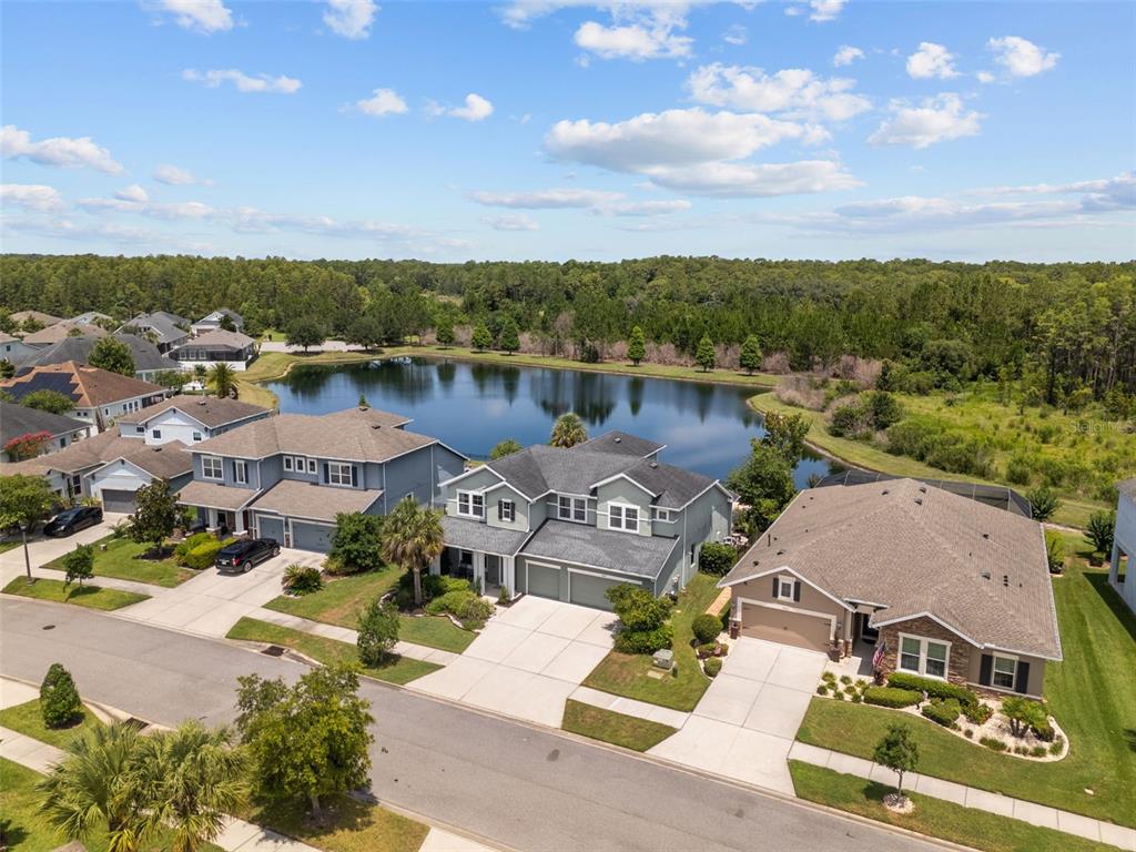 An aerial view shows suburban houses with driveways situated next to a small lake — 2903 LONG BOW WAY, ODESSA, FL