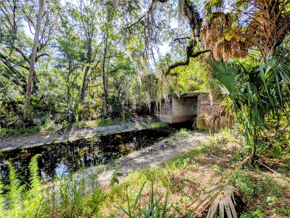 A concrete culvert spans a narrow, dark stream surrounded by trees and lush vegetation — 1495 N TORO DRIVE, INVERNESS, FL
