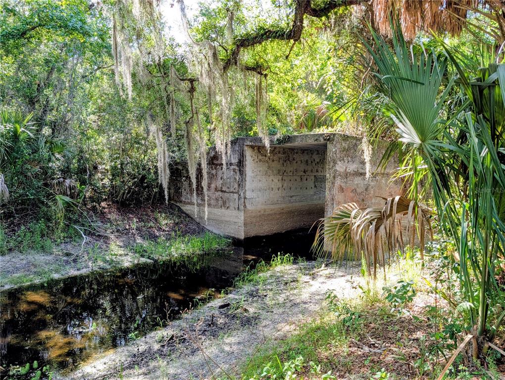 A concrete drainage culvert sits in a wooded area next to a small, dark stream — 1495 N TORO DRIVE, INVERNESS, FL