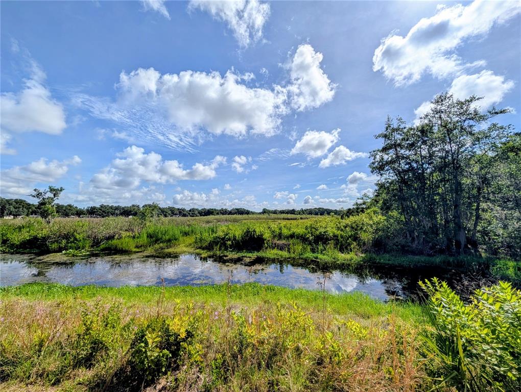 A view of a pond surrounded by grassy wetlands and trees under a cloudy sky — 1495 N TORO DRIVE, INVERNESS, FL