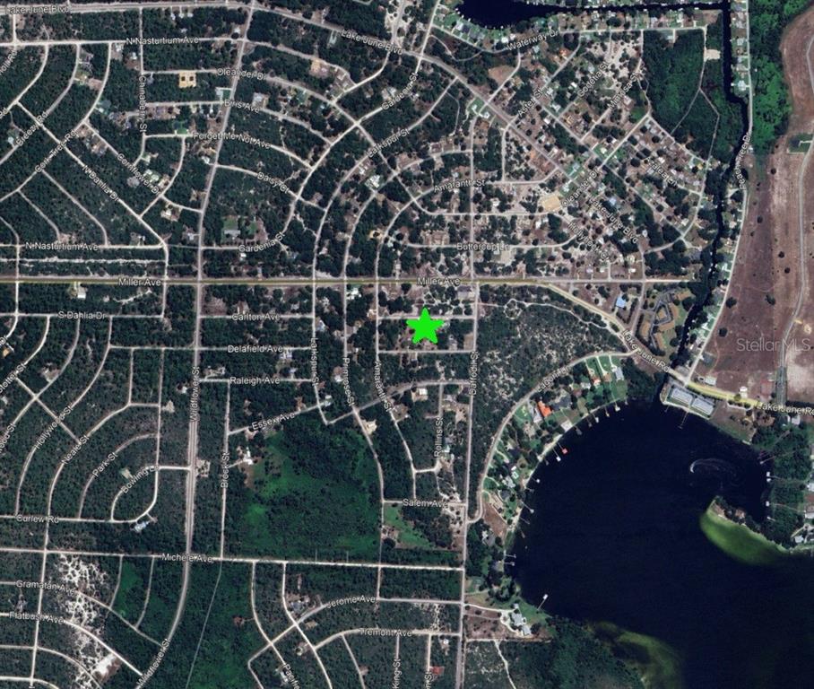 This is an aerial map view of a residential neighborhood with a green star marker — 3110 CONCORD AVENUE, LAKE PLACID, FL