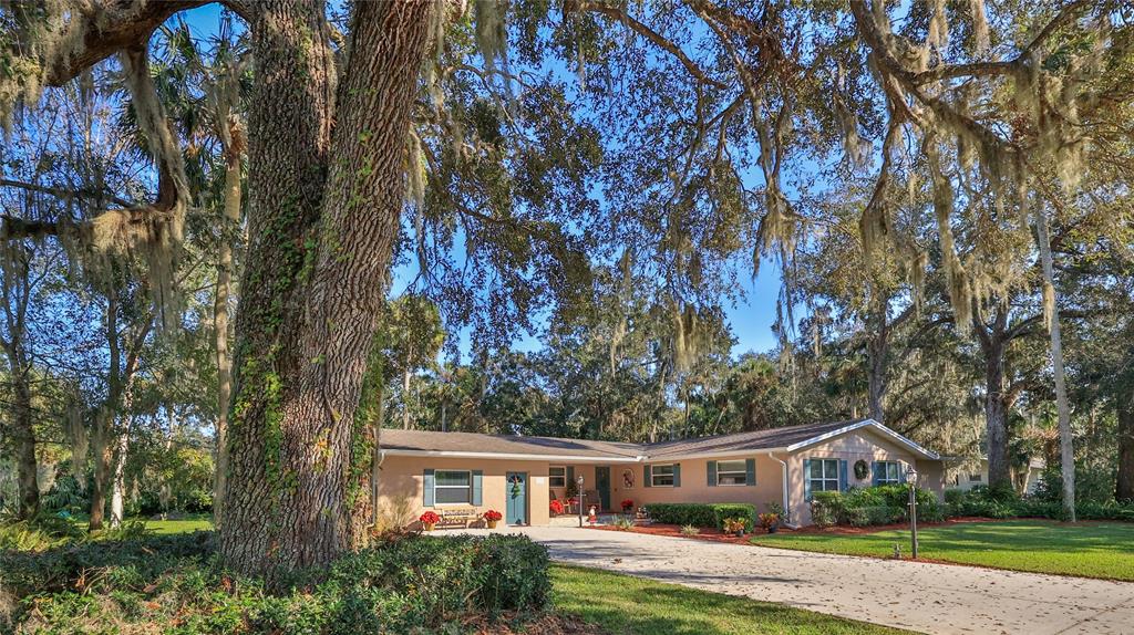 A single-story tan house with a paved driveway sits under large moss-draped oak trees — 515 OLIVER DRIVE, NEW SMYRNA BEACH, FL