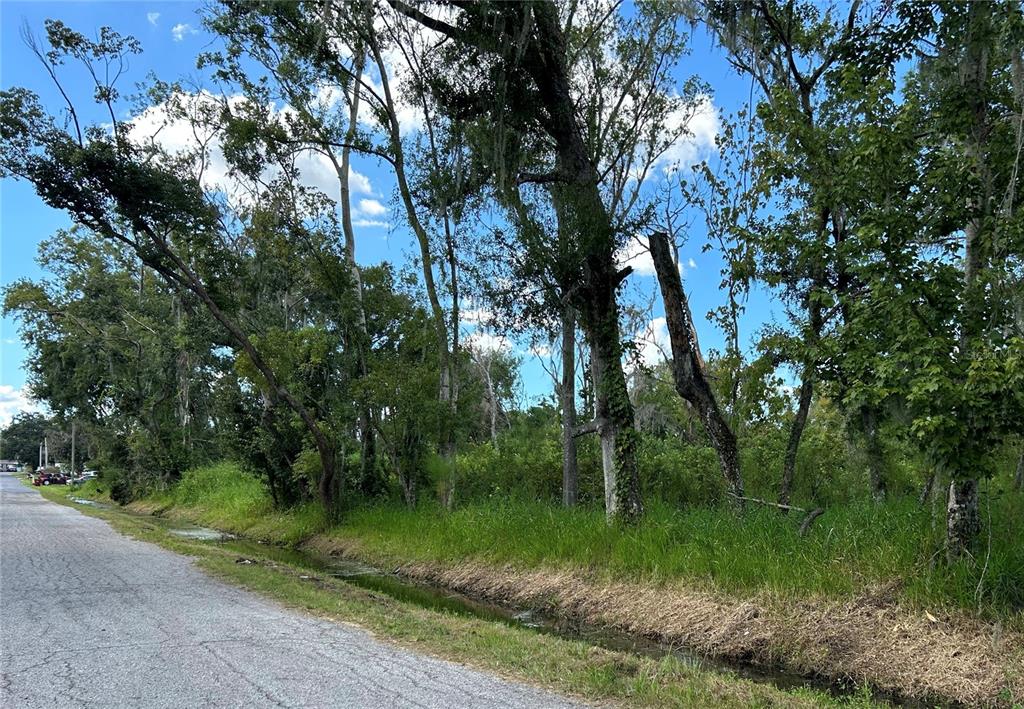 A paved road runs alongside a grassy drainage ditch bordering a wooded lot with trees — SEMINOLE LAKE BLVD & HICKMAN AVE, PLANT CITY, FL