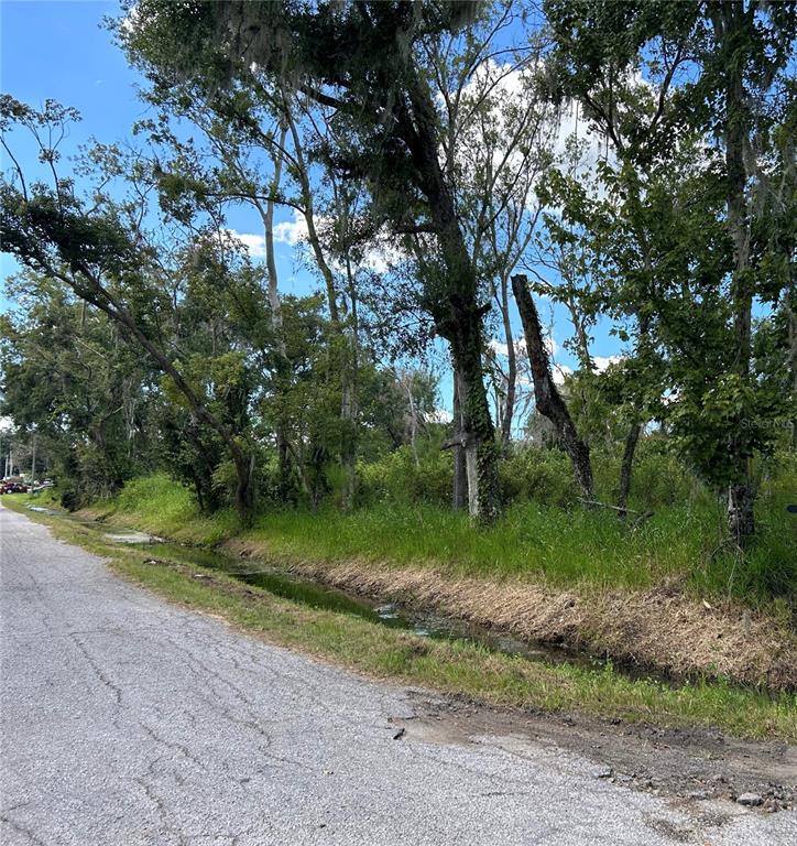 A gravel road runs alongside a grassy ditch bordering a wooded lot with mature trees — SEMINOLE LAKE BLVD & HICKMAN AVE, PLANT CITY, FL