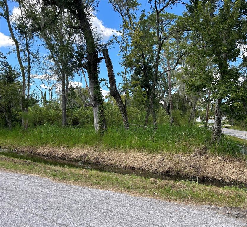 A grassy, wooded lot sits behind a drainage ditch next to a paved road — SEMINOLE LAKE BLVD & HICKMAN AVE, PLANT CITY, FL