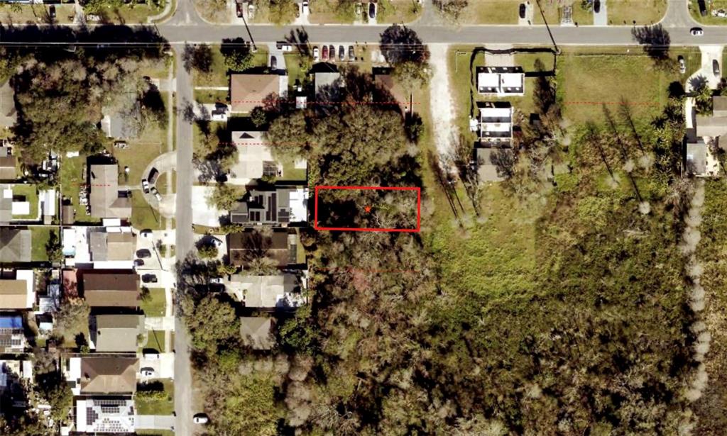 This is an aerial view of a rectangular vacant lot highlighted in red — BLOSSOM AVENUE, TAMPA, FL