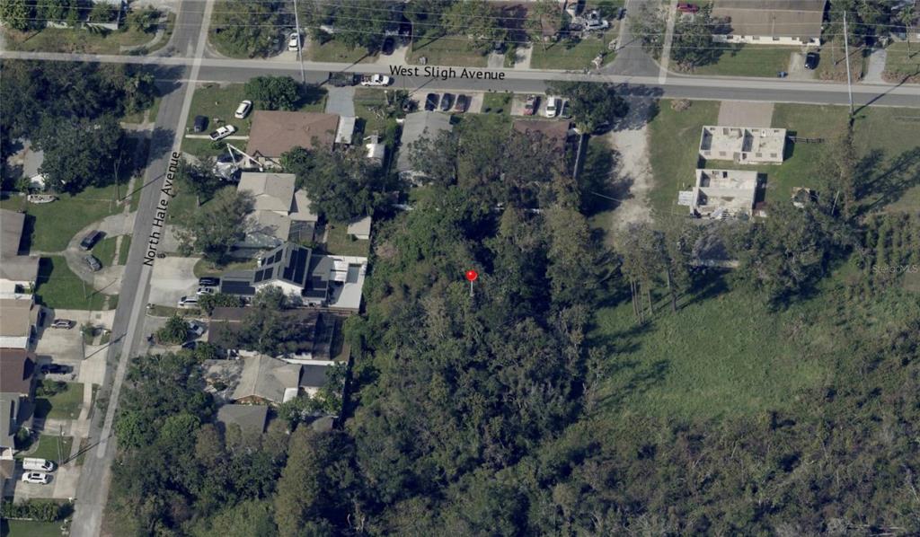 This aerial view shows a wooded, undeveloped lot marked by a red pin — BLOSSOM AVENUE, TAMPA, FL