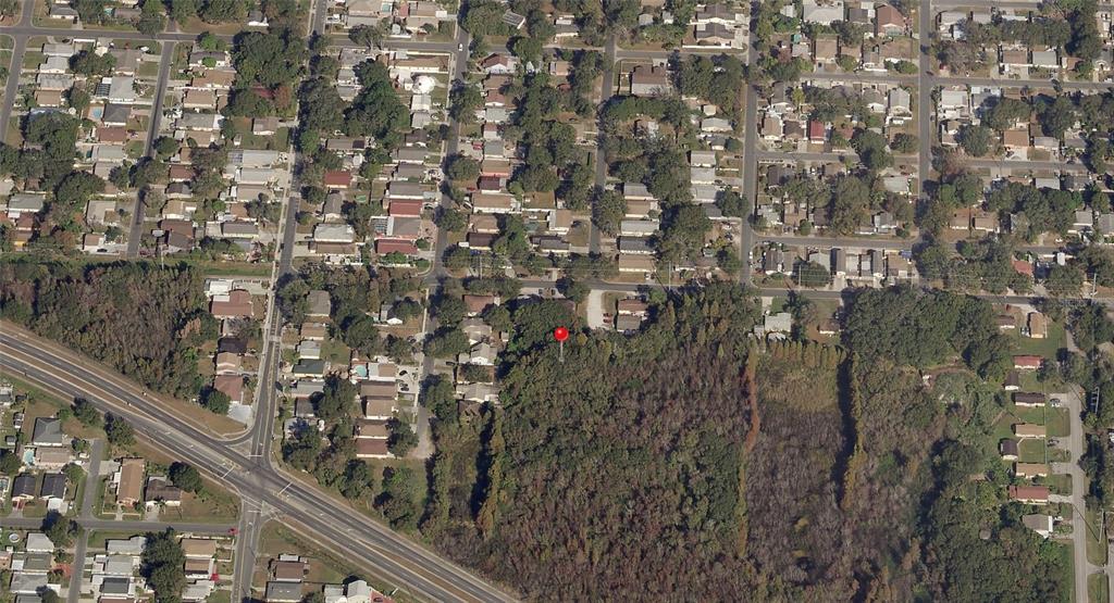 An aerial view shows a wooded lot marked with a red pin near residential streets — BLOSSOM AVENUE, TAMPA, FL