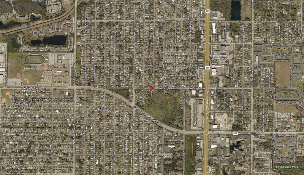 This is an aerial map view of a residential neighborhood in Tampa, Florida — BLOSSOM AVENUE, TAMPA, FL