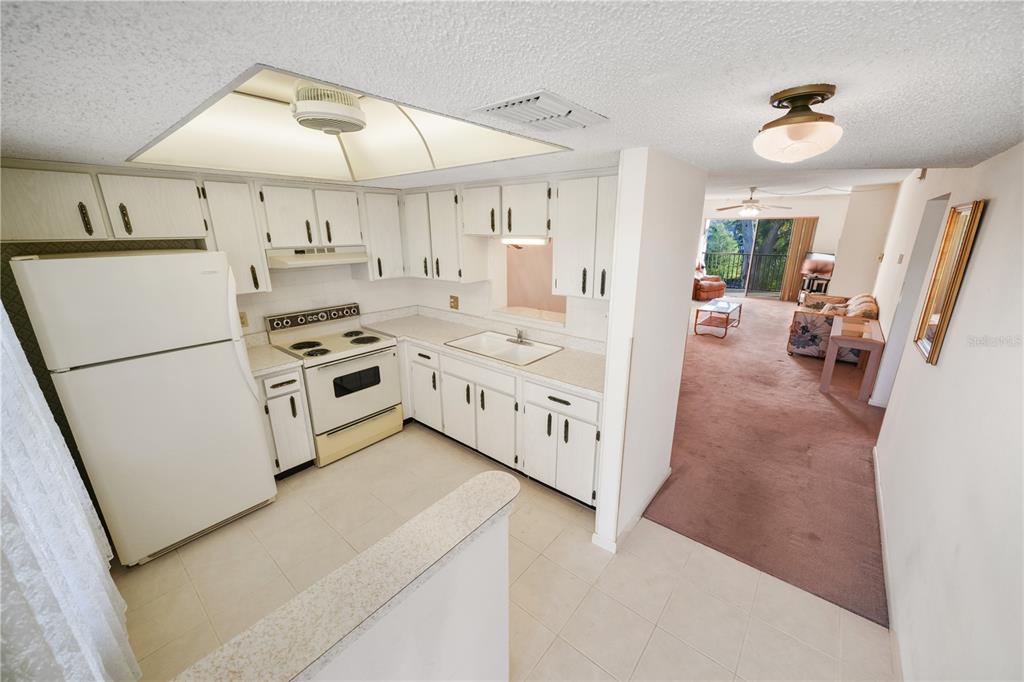 A white kitchen with a pass-through window overlooks a carpeted living area with a balcony — 1450 HEATHER RIDGE BOULEVARD UNIT 307, DUNEDIN, FL