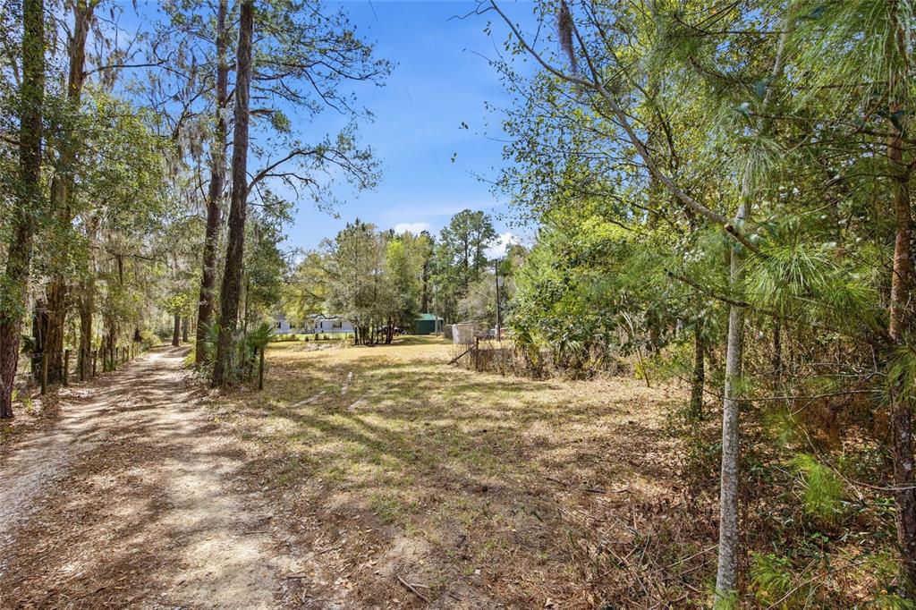 A dirt path leads toward a clearing surrounded by trees and a distant house — 7900 W HIGHWAY 326, OCALA, FL