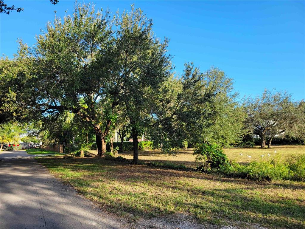 A paved road runs alongside a grassy lot with several large trees under a blue sky — tbd SW 93RD STREET, MIAMI, FL