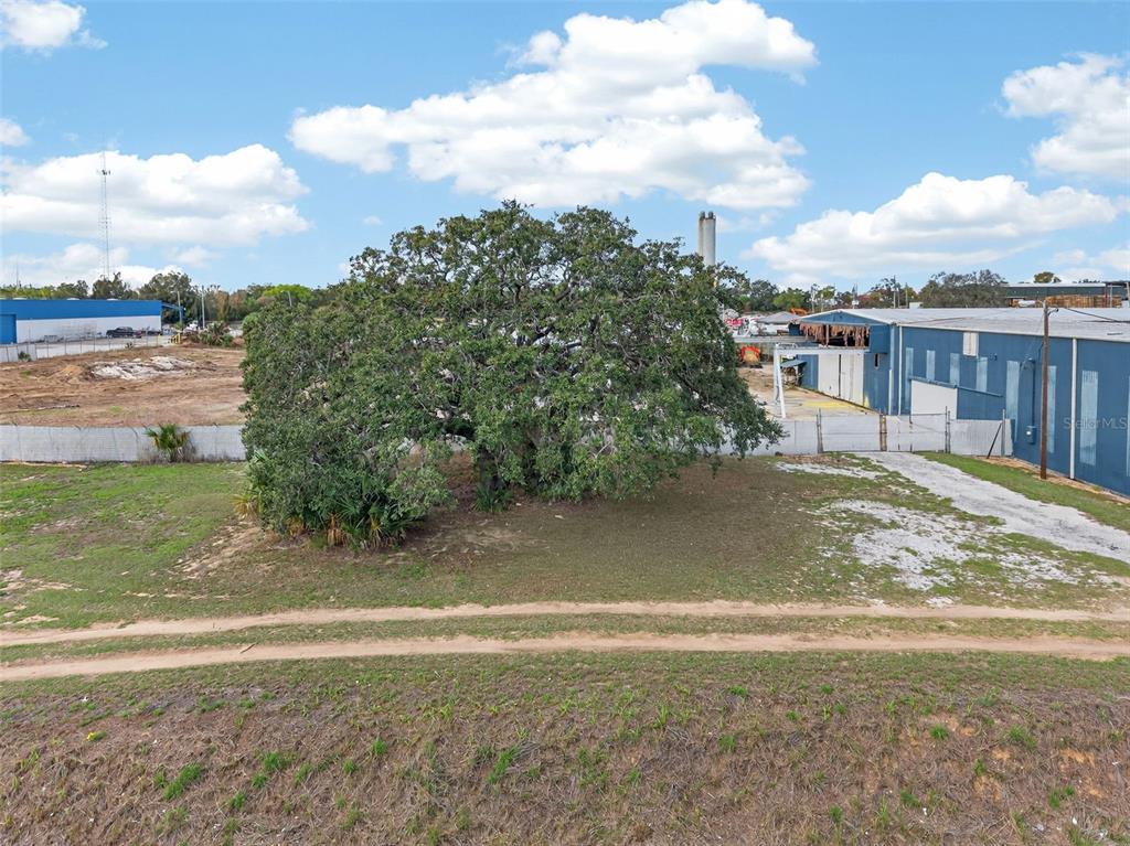 A large tree stands in an open, grassy lot next to a blue industrial building — HWY 17 92 N, HAINES CITY, FL
