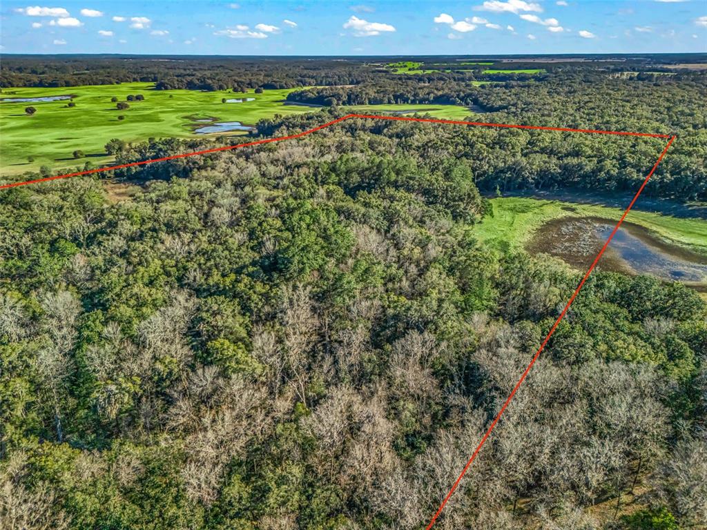 0 SE 165TH AVENUE, WILLISTON, FL — photo 4 of 17