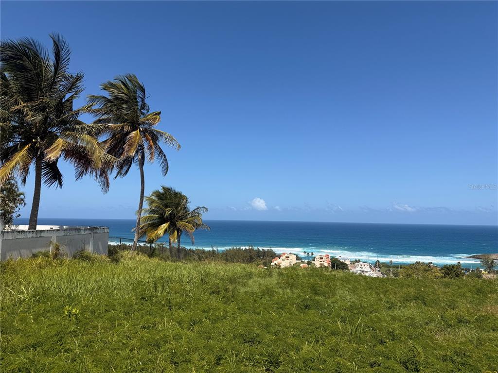 A grassy hill overlooks the ocean with palm trees and distant buildings under a clear sky — 459 POZO DULCE, ISABELA, PR