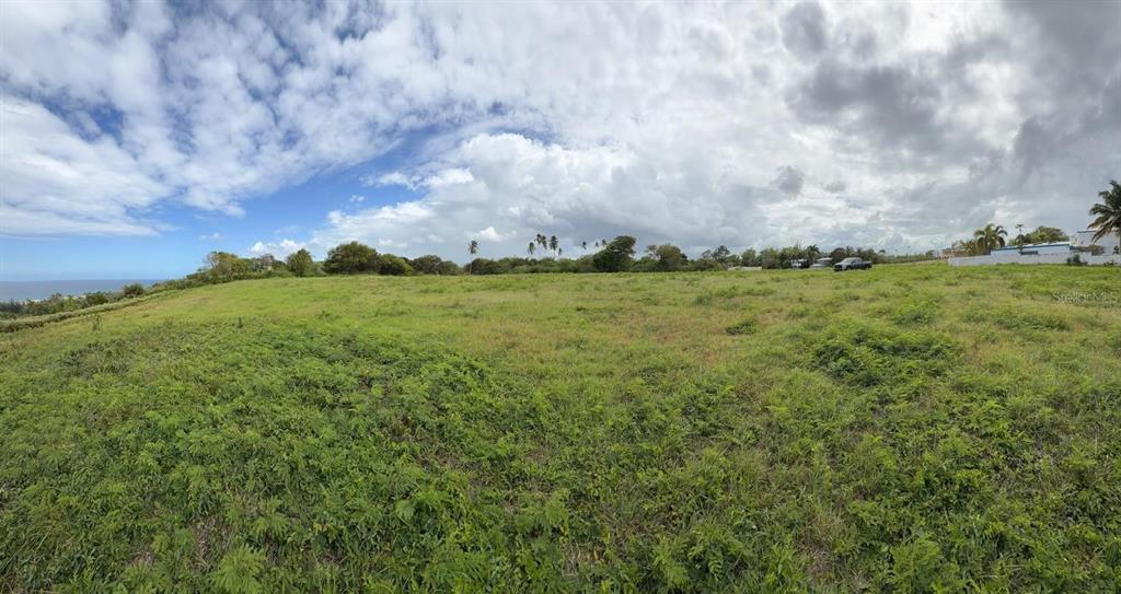 A wide, grassy, undeveloped lot under a cloudy sky with a distant ocean view — 459 POZO DULCE, ISABELA, PR