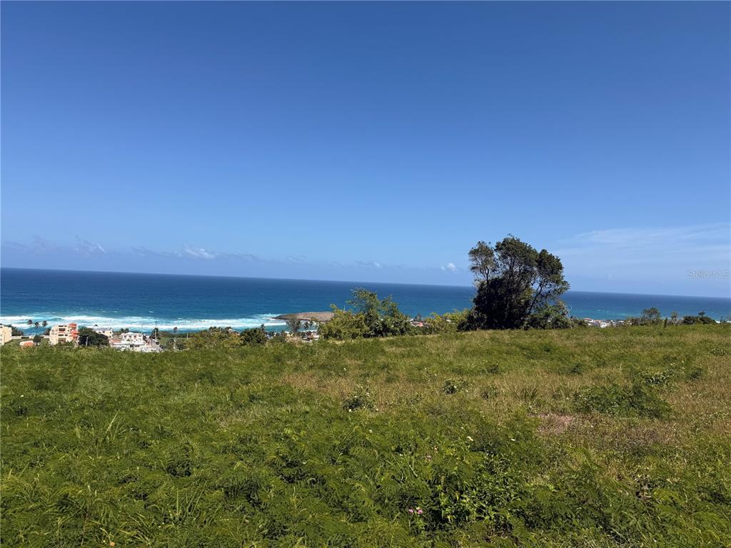 A grassy hillside overlooks a coastal town and the ocean under a clear blue sky — 459 POZO DULCE, ISABELA, PR