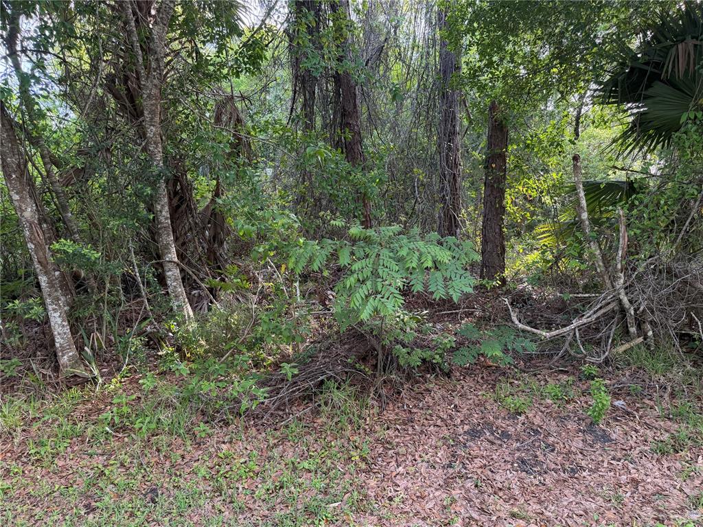 11 PATRICK PLACE, PALM COAST, FL — photo 3 of 6
