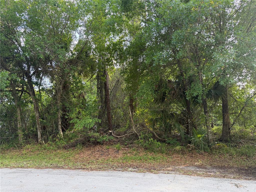 11 PATRICK PLACE, PALM COAST, FL — photo 4 of 6