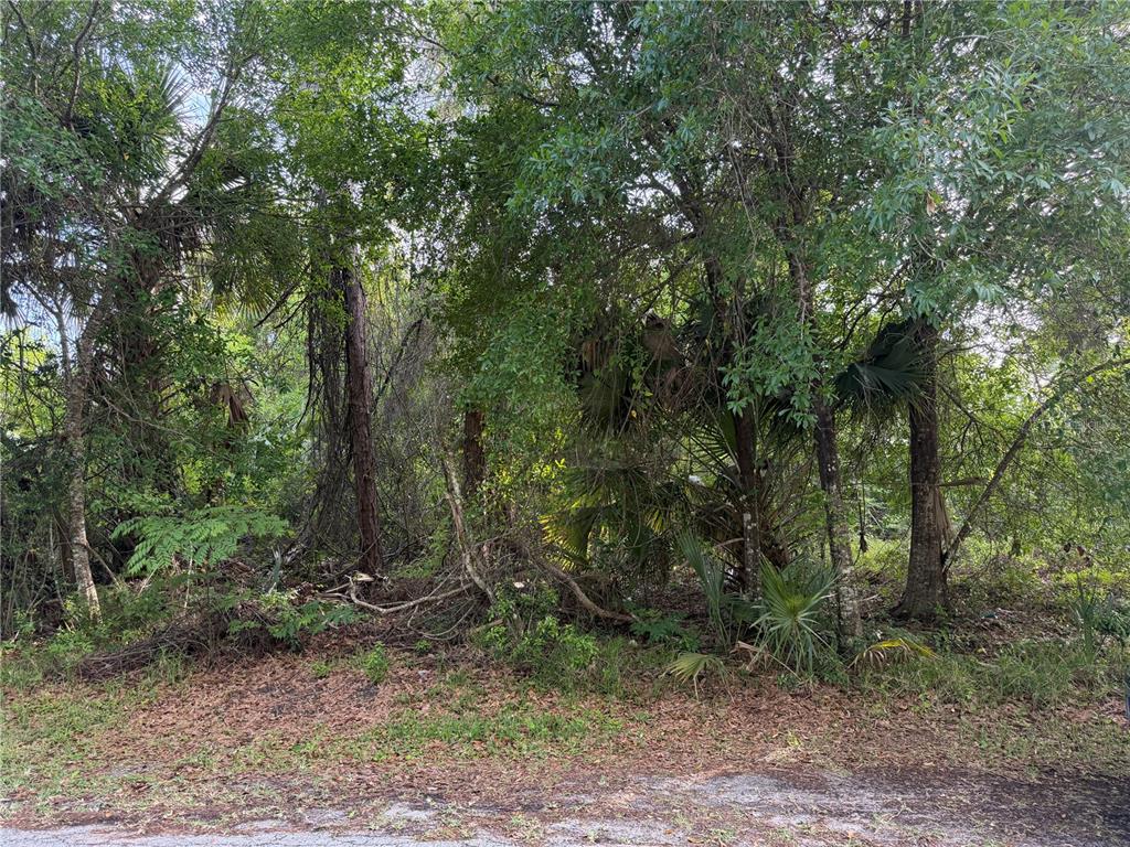 11 PATRICK PLACE, PALM COAST, FL — photo 5 of 6