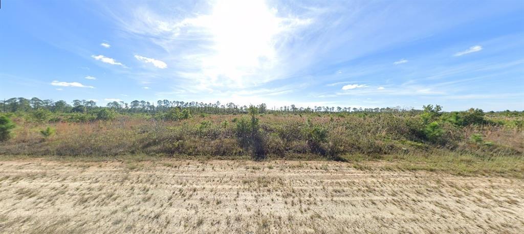 A wide, sunny, undeveloped grassy lot with scattered small trees and shrubs under a blue sky — 411 PORTULACA DRIVE, INDIAN LAKE ESTATES, FL