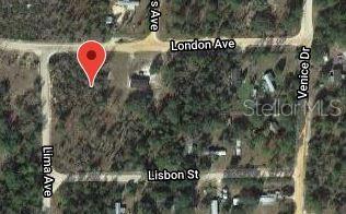 This is an aerial map view of a vacant residential lot marked with a red pin — 115 LONDON AVENUE, INTERLACHEN, FL