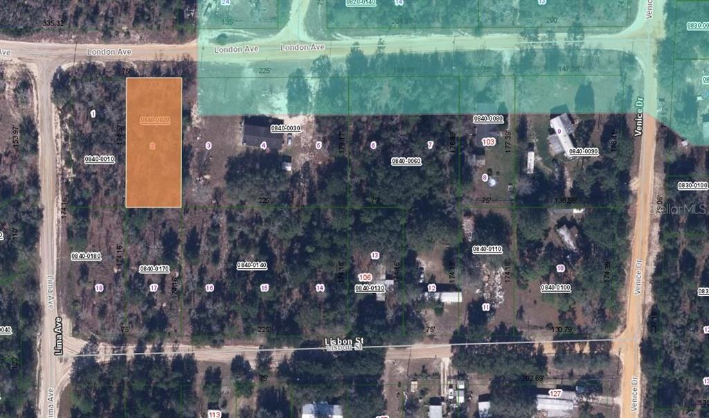 This is an aerial map showing property lot lines and parcel numbers in a residential area — 115 LONDON AVENUE, INTERLACHEN, FL