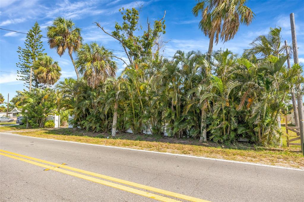 A paved road runs in front of a lot filled with palm trees and vegetation — 826 W SHELL POINT STREET, RUSKIN, FL