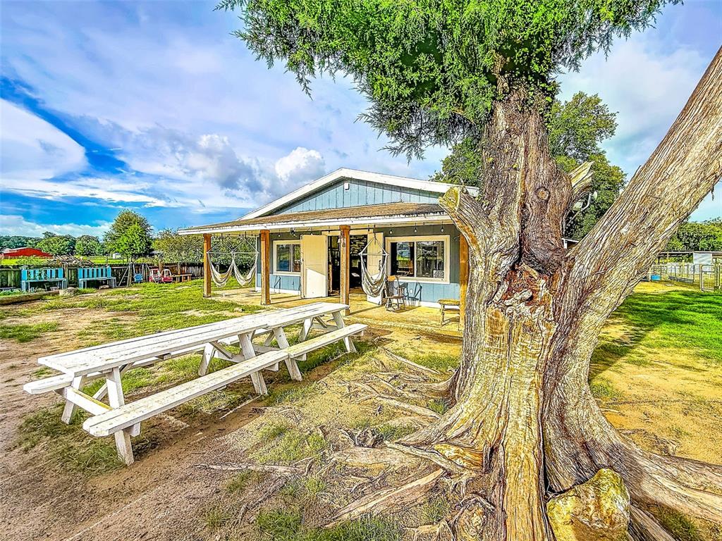 A white picnic table sits on a dirt yard in front of a blue house — 16736 POWERLINE ROAD, DADE CITY, FL
