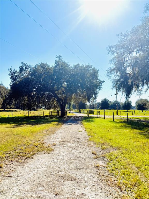 A dirt driveway leads toward a large oak tree on a sunny, fenced rural property — 7223 SW 55TH STREET, BUSHNELL, FL